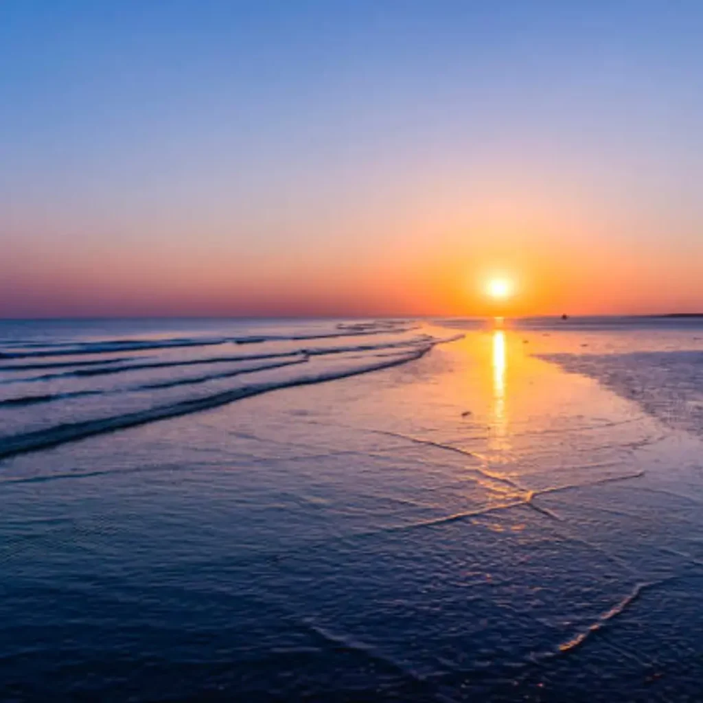 Digital Marketing Course in Surat — Dumas Beach